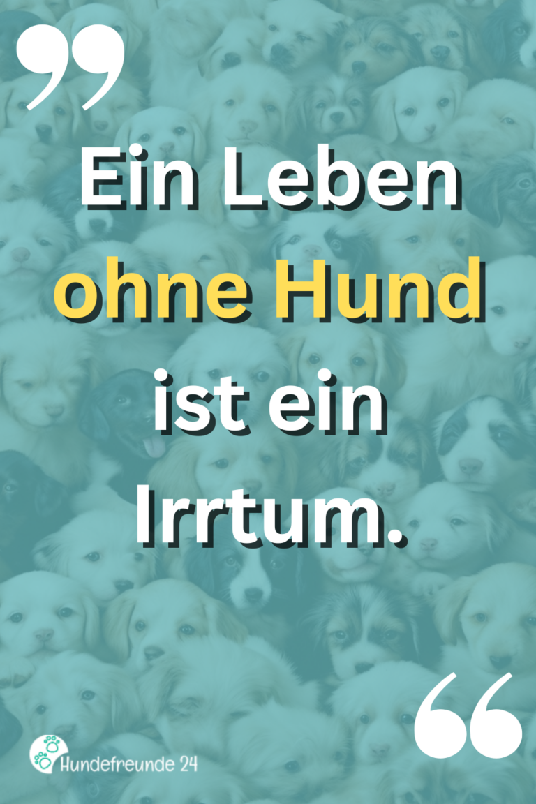 Kurze Hundespr Che Lustig Ernst Wahr Hundefreunde