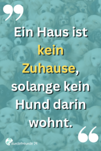 Kurze Hundesprüche Lustig, ernst, wahr Hundefreunde 24