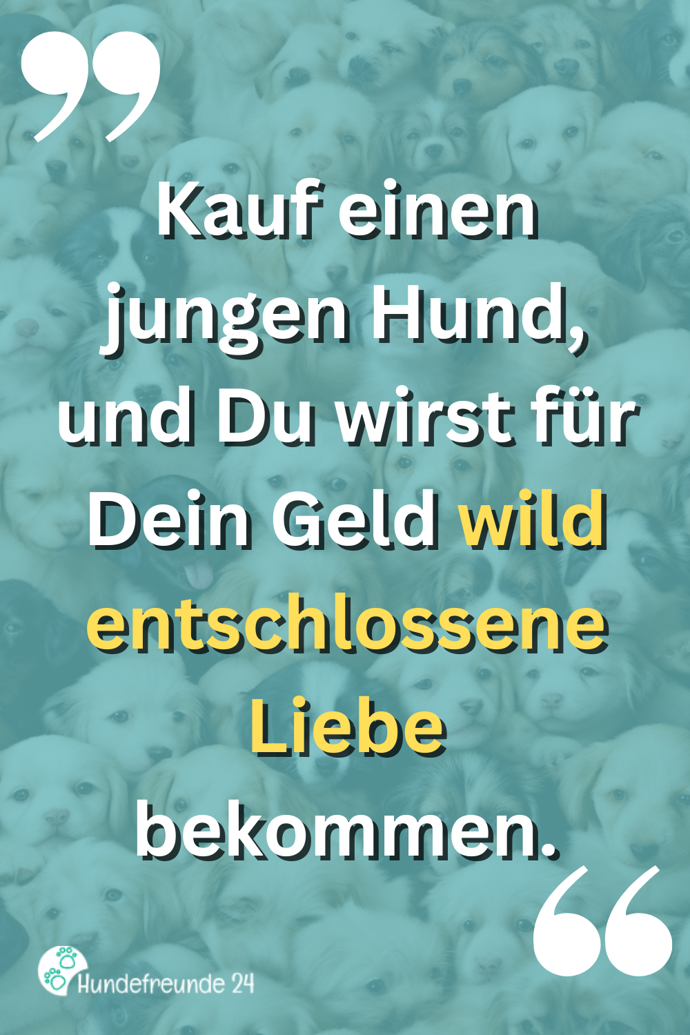 Kurze Hundesprüche Lustig, ernst, wahr Hundefreunde 24