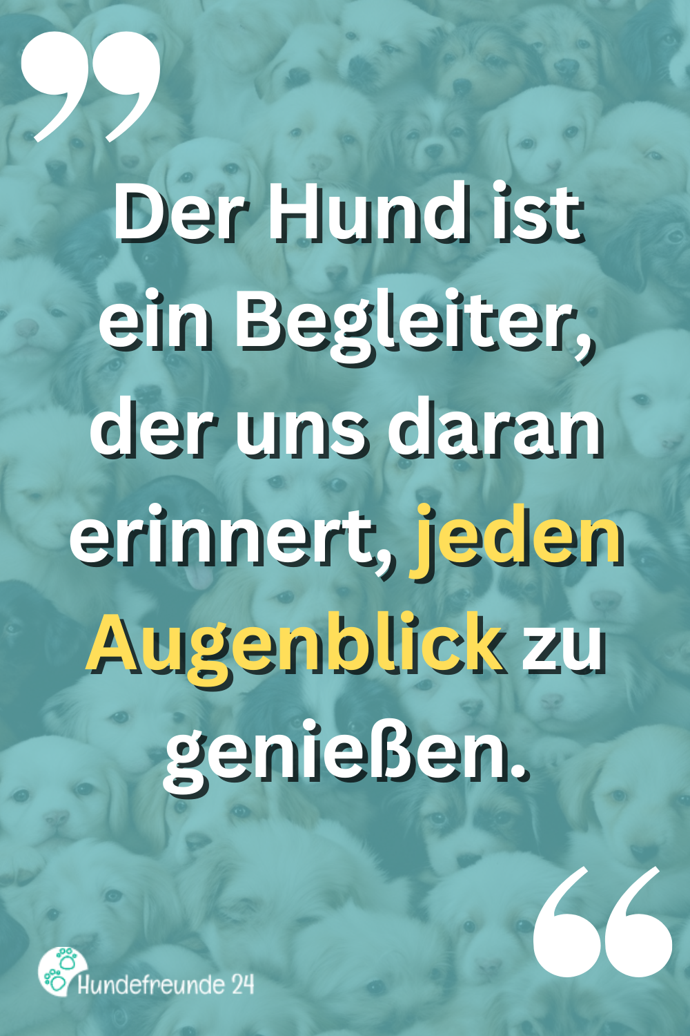 Kurze Hundesprüche Lustig, ernst, wahr Hundefreunde 24