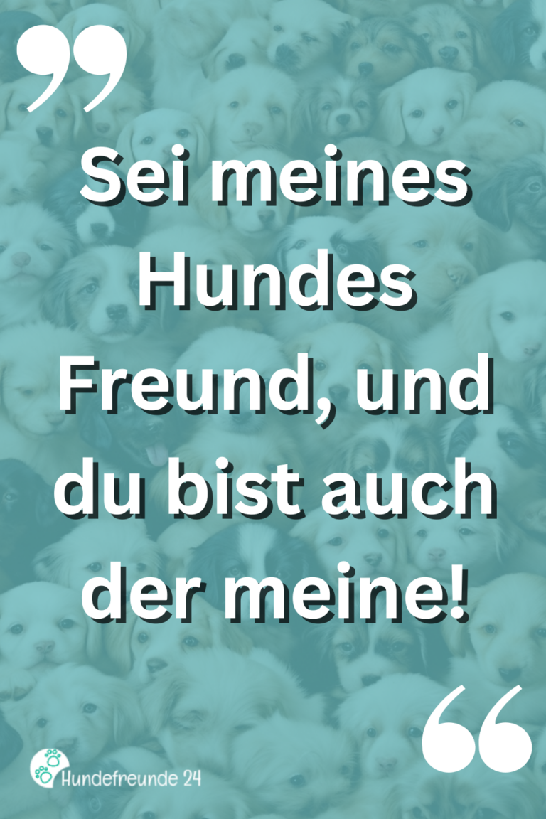 Kurze Hundesprüche Lustig, ernst, wahr Hundefreunde 24