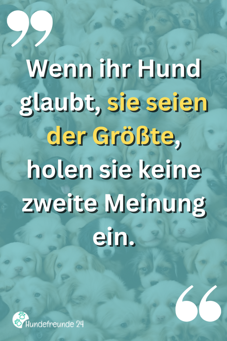 Kurze Hundesprüche Lustig, ernst, wahr Hundefreunde 24