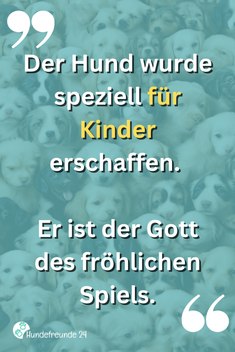 Kurze Hundesprüche Lustig, ernst, wahr Hundefreunde 24