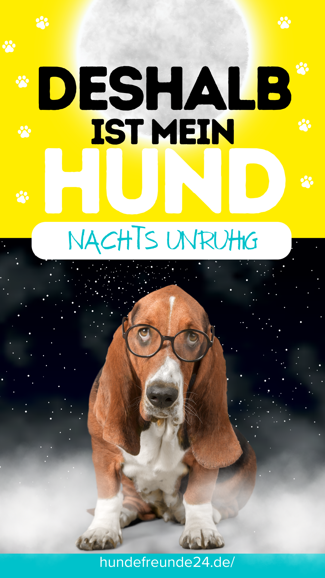 【ᐅ】Hund ist nachts unruhig Ursachen & Tipps 2024