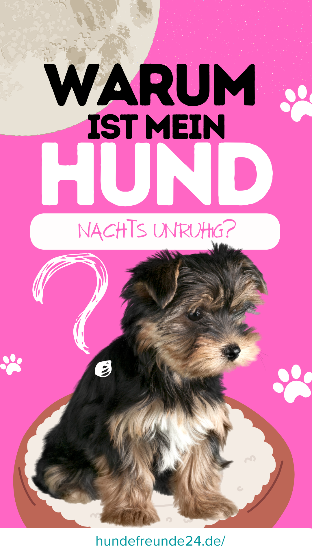 【ᐅ】Hund ist nachts unruhig Ursachen & Tipps 2024