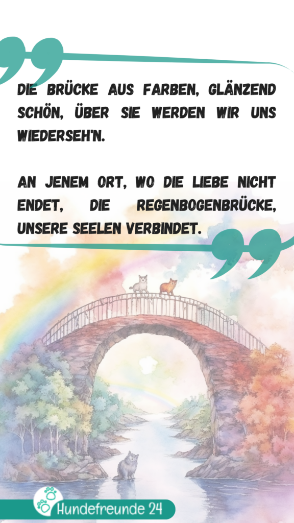 Illustrierte Regenbogenbrücke mit Tieren.