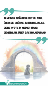 Hund betrachtet Regenbogenbrücke im Aquarell-Stil.