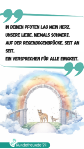 Illustration einer Regenbogenbrücke mit Hunden.