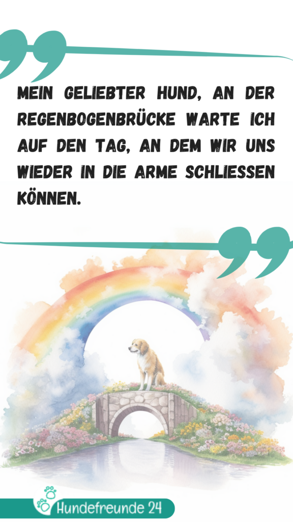 Hund auf Regenbogenbrücke Illustration.