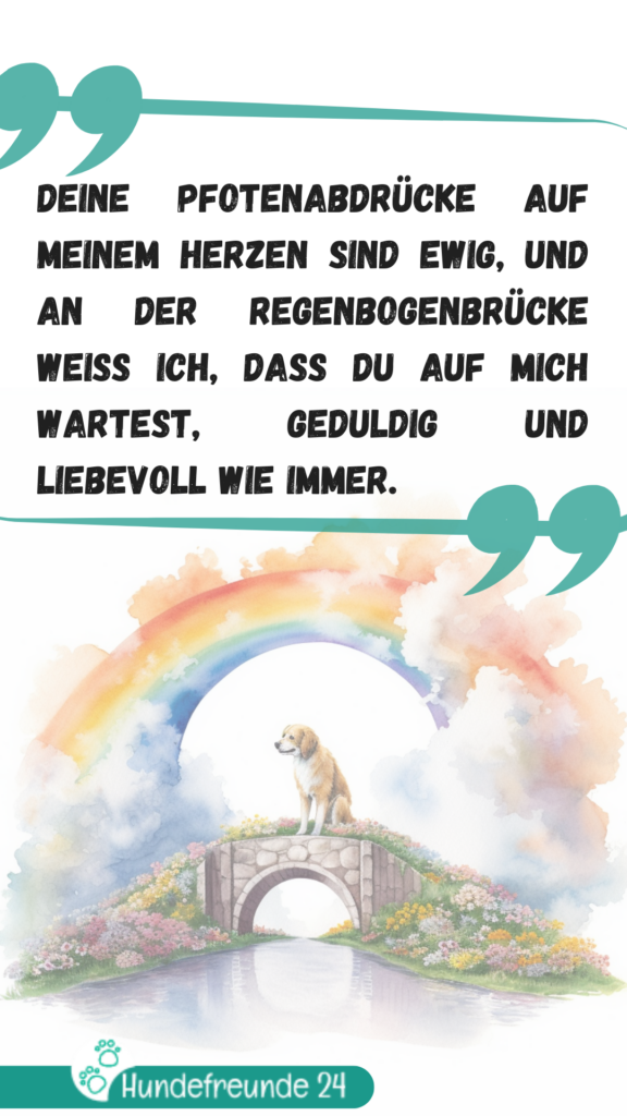 Hund auf Regenbogenbrücke, emotionales Zitat.