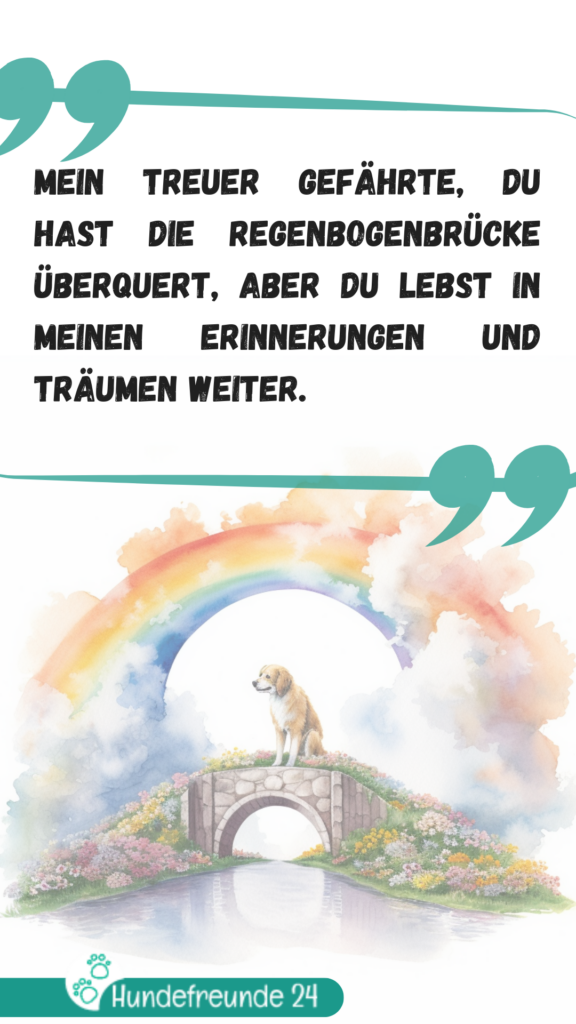 Hund auf Regenbogenbrücke mit Zitat.