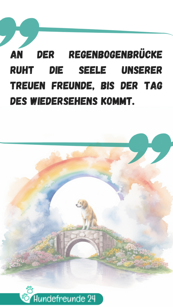 Illustration Hund auf Regenbogenbrücke mit Zitat.
