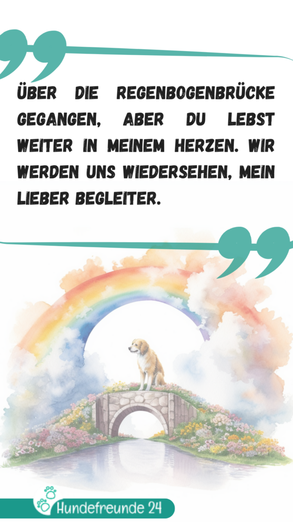 Hund auf Regenbogenbrücke Illustration