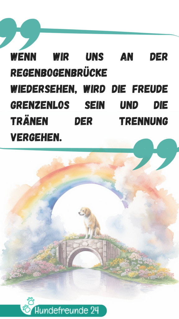 Hund auf Regenbogenbrücke mit inspirierendem Zitat.