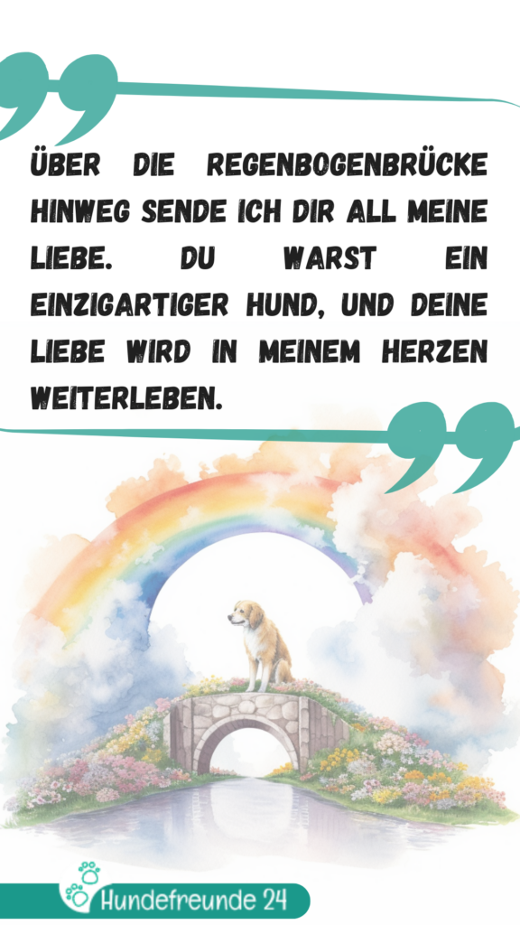 Illustration Hund auf Regenbogenbrücke mit Abschiedstext.