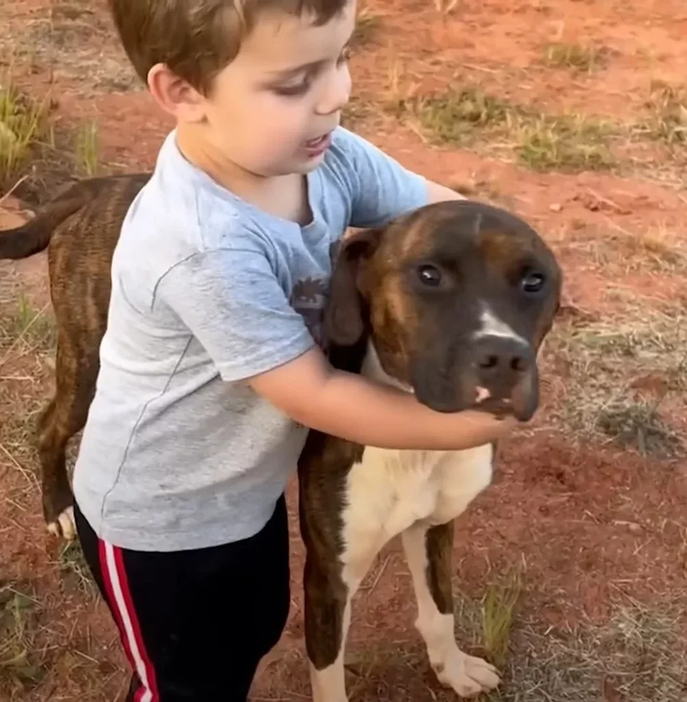 Kind umarmt liebevoll einen Hund.