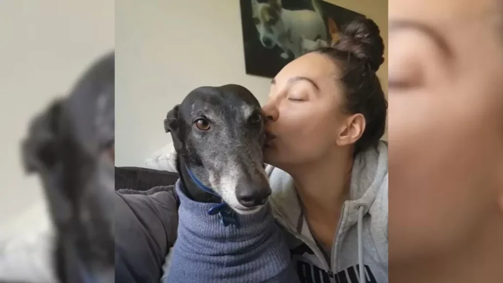 Frau küsst liebevoll ihren Hund