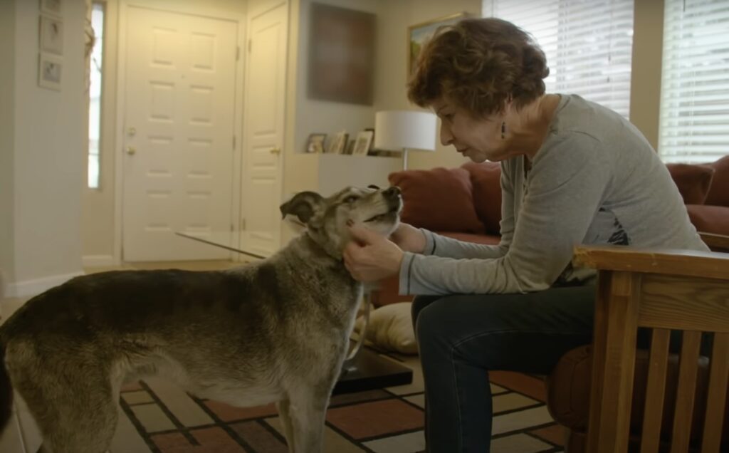 Frau streichelt liebevoll ihren Hund.
