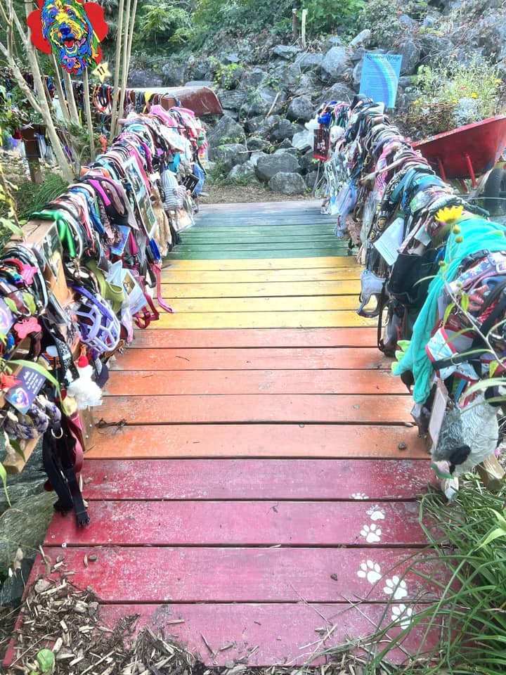 Bunte Holzbrücke mit Pfotenabdrücken und Gebetsfahnen.