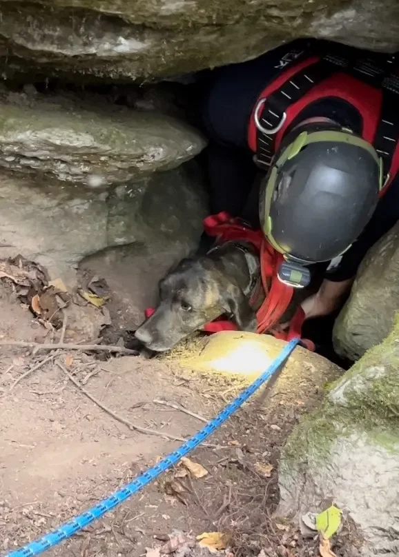 Hund und Person bei Höhlenrettungsübung.