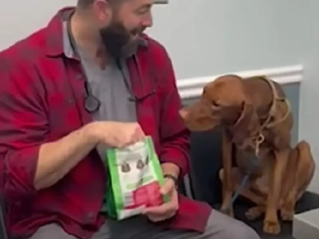 Mann öffnet Leckerlitüte vor Hund.