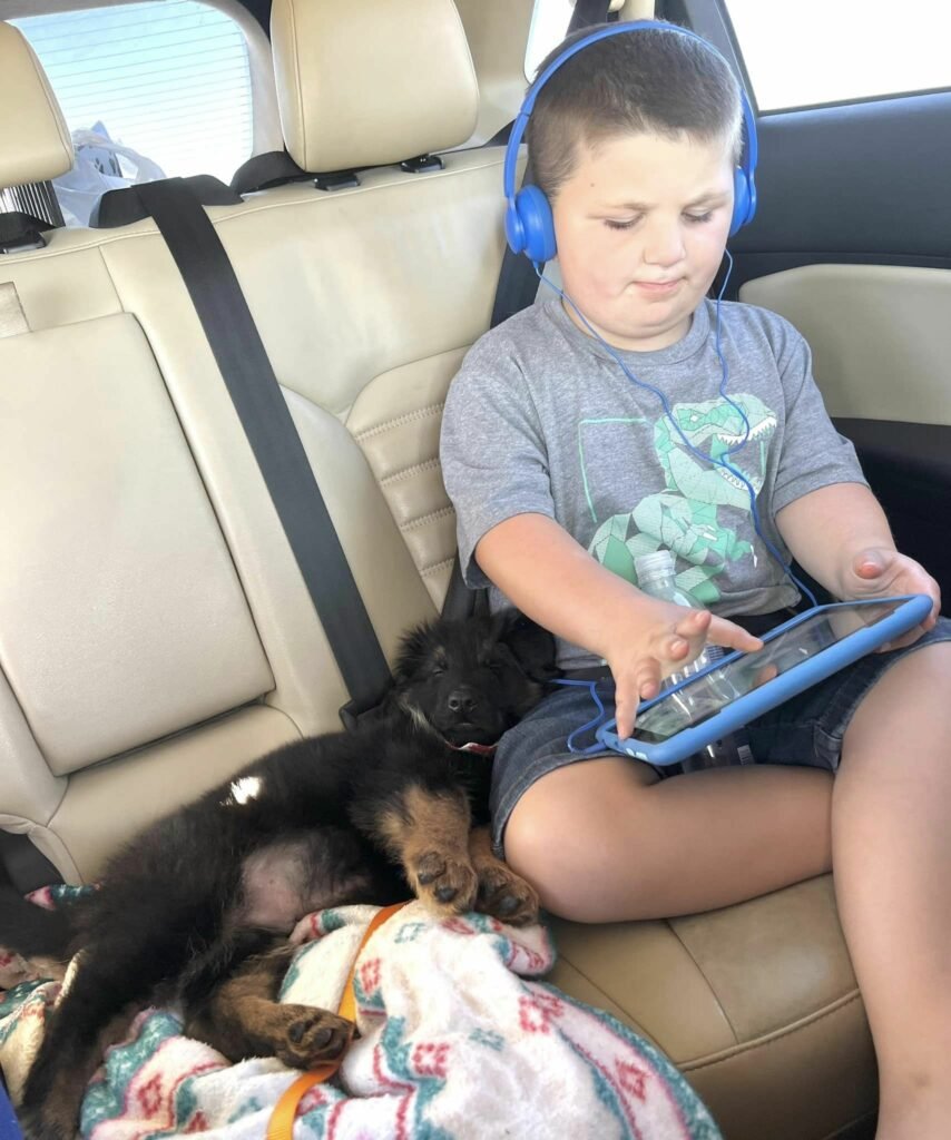 Kind mit Tablet und schlafendem Hund im Auto.