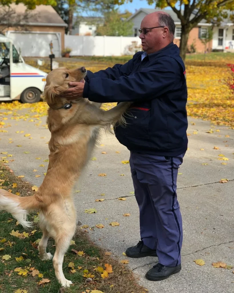 Mann spielt mit Golden Retriever im Herbst.