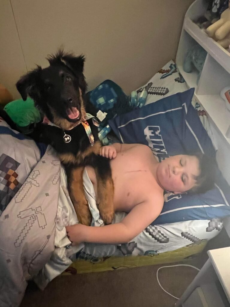 Kind und Hund kuscheln gemeinsam im Bett.