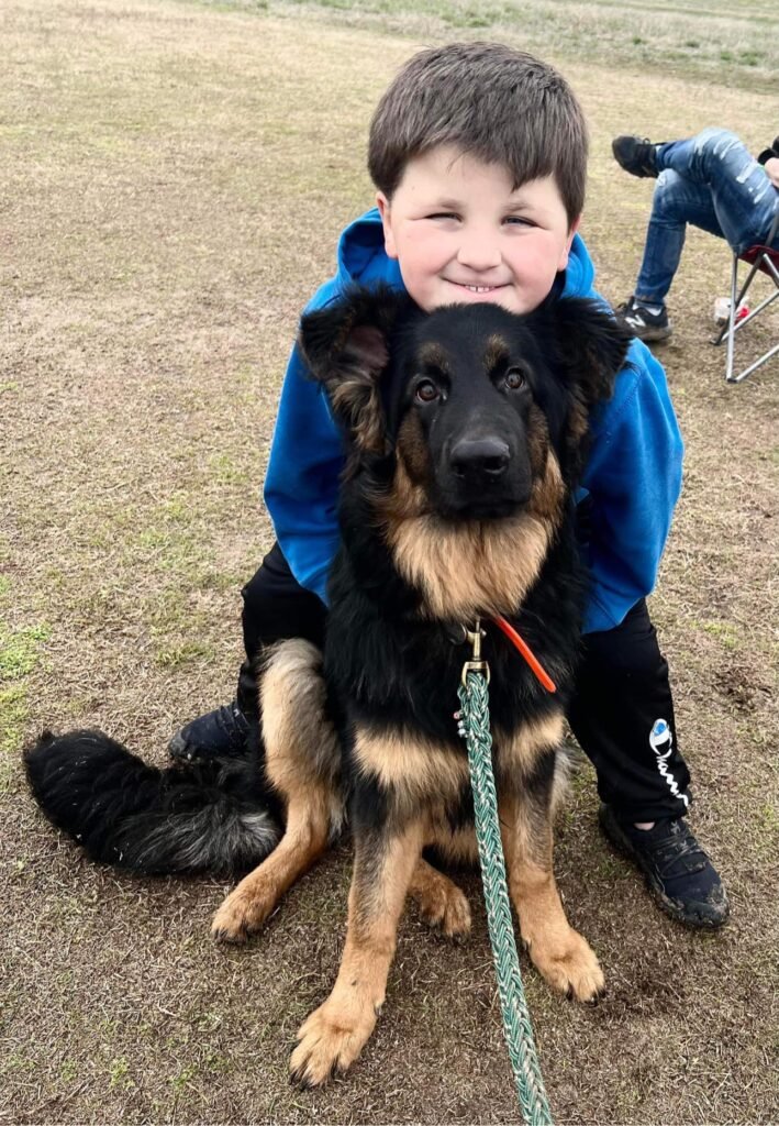 Junge umarmt großen Schäferhund im Freien.