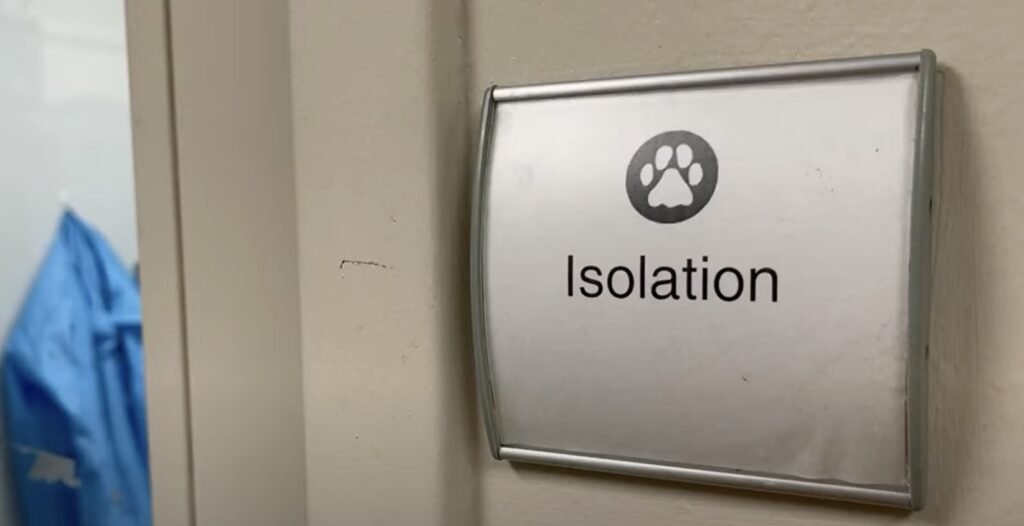 Schild "Isolation" mit Pfotenabdruck an Tür