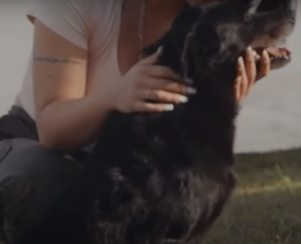 Person streichelt liebevoll einen schwarzen Hund.
