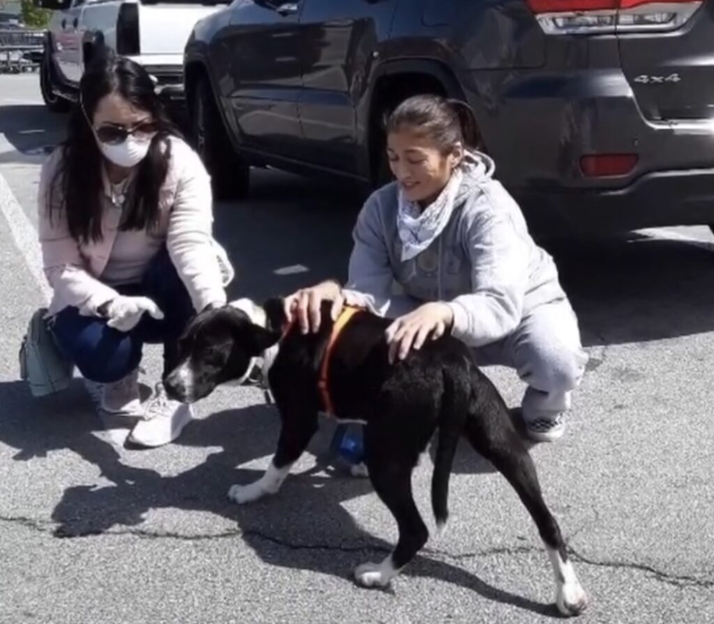 Zwei Frauen mit Hund auf Parkplatz.