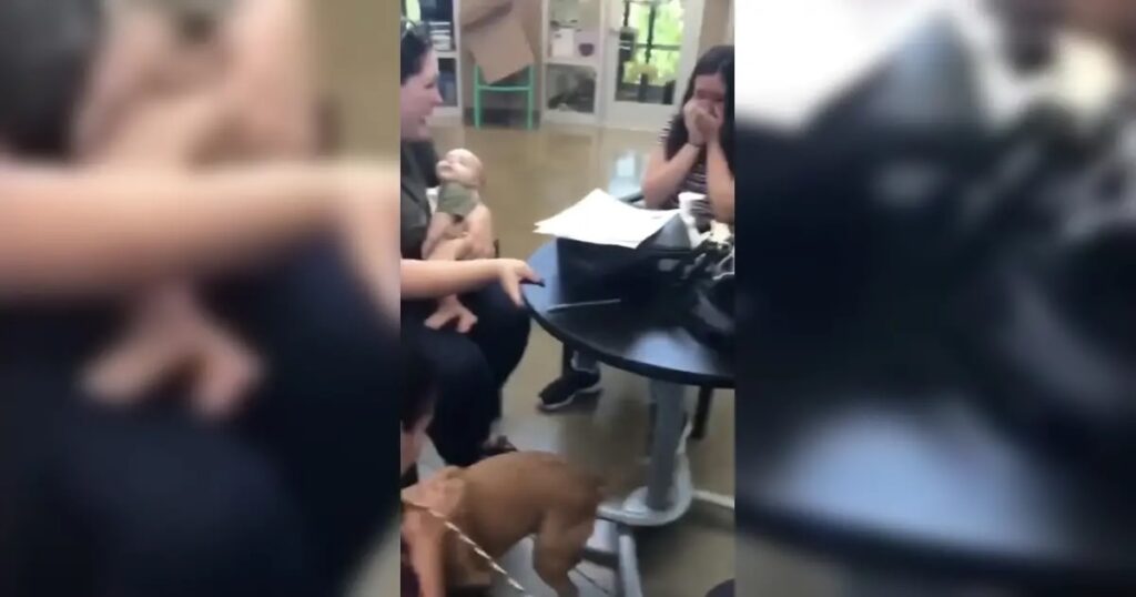 Glückliche Frau adoptiert Hund.