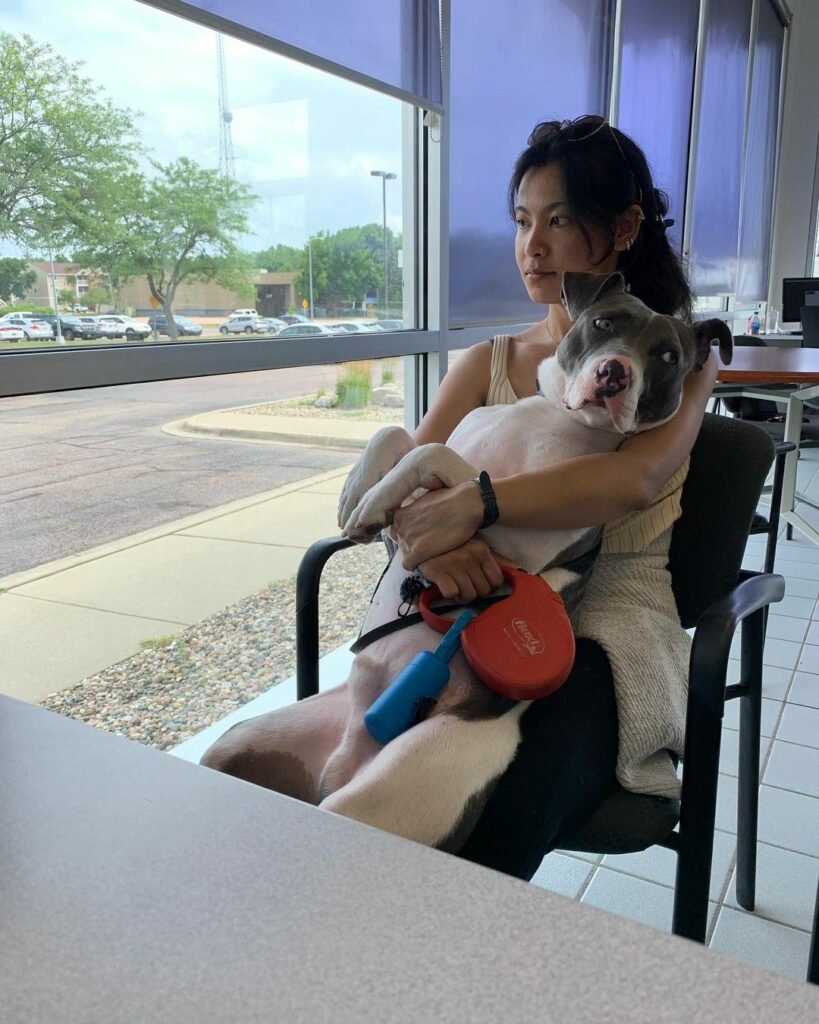 Frau hält entspannten Hund im Wartezimmer.